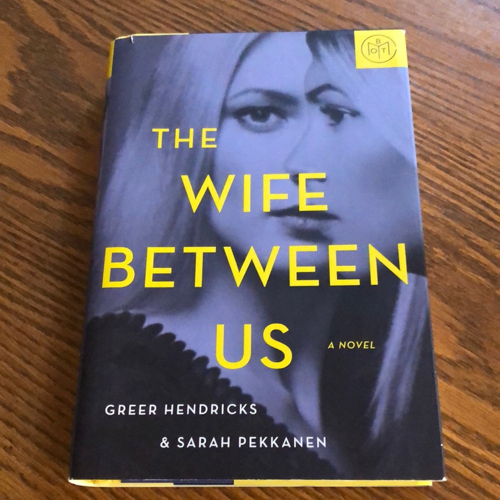 The wife between us novel